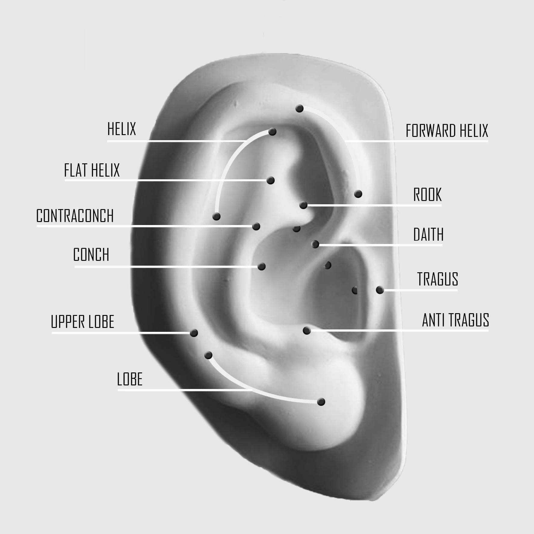 Ear Piercings